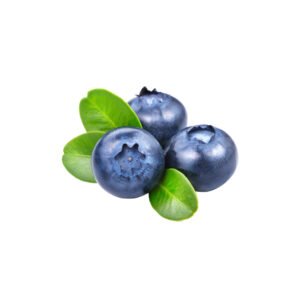 Arandano Interagro 1kg